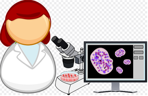 Cell Biology
